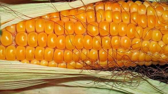 Какво не трябва да ядете по време на кето диета